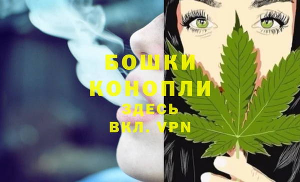 мяу мяу мука Новозыбков