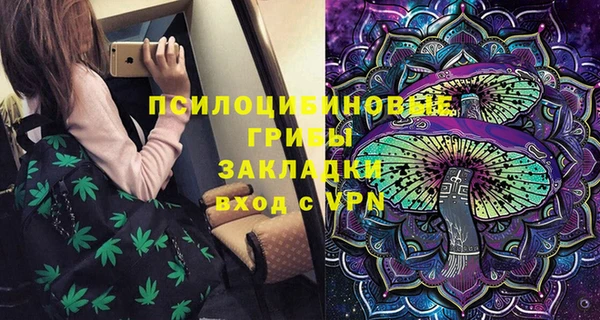 мяу мяу мука Новозыбков